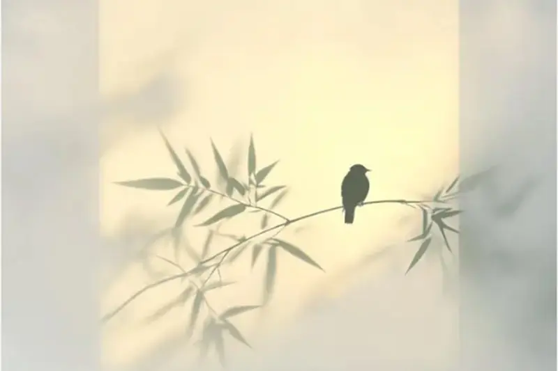 离婚诉讼中的“调解阶段”有哪些话术？专业离婚律师的心理战术