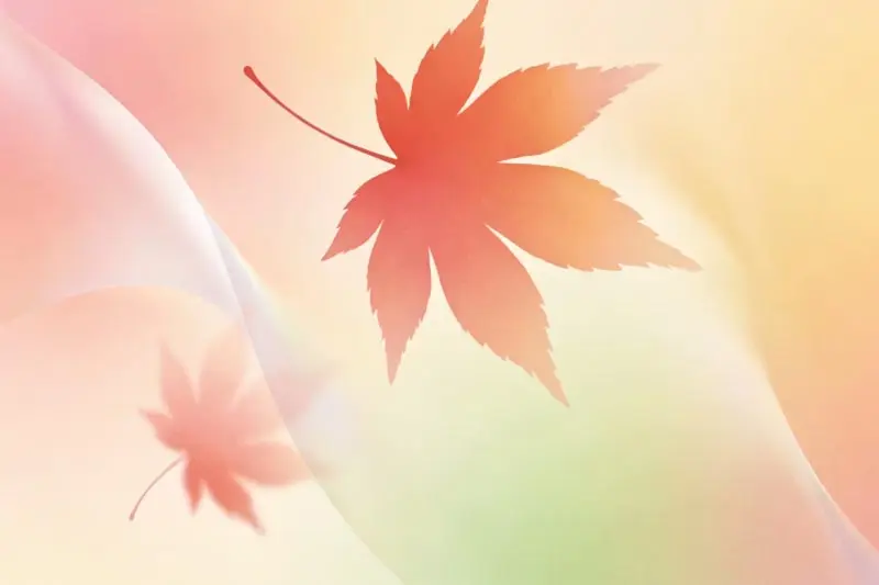 企业为什么要聘请法律顾问？从日常经营到风险防控全面解析