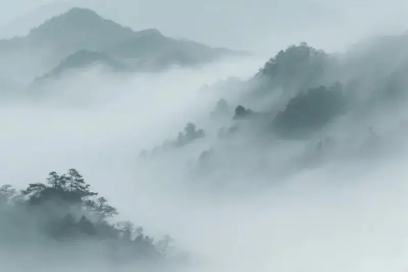 律师服务平台怎么退款？线上解除委托合同的法律维权流程