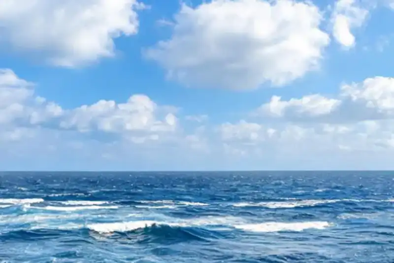 经济纠纷律师处理合同违约金的技巧：如何向法院争取最高限额的赔偿？