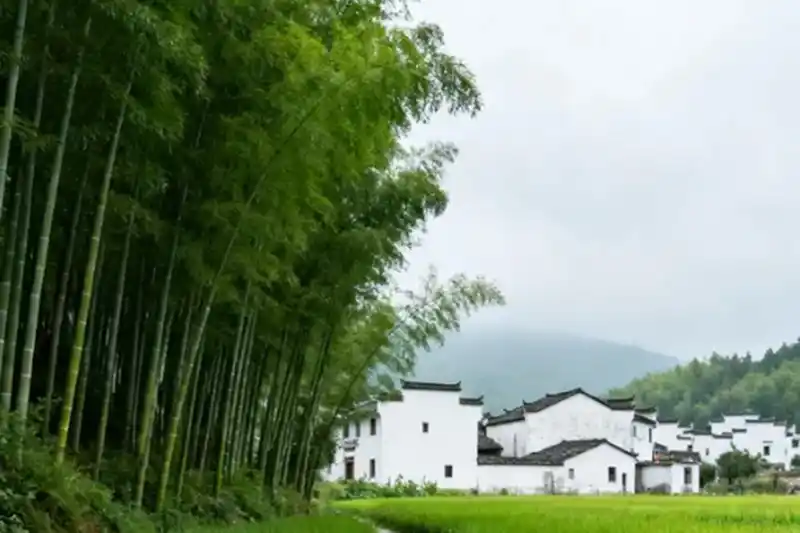 律师服务平台可以提供税务律师服务吗？